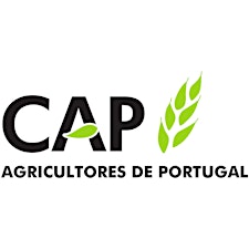 Imagem de perfil do organizador