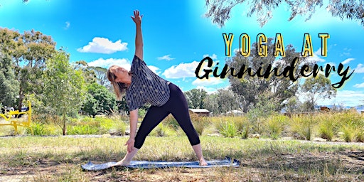 Yoga at Ginninderry