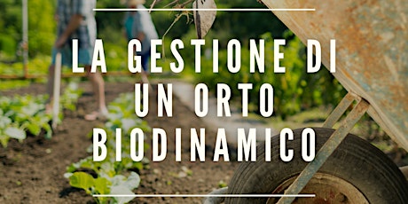 Immagine principale di LA GESTIONE DI UN ORTICO BIODINAMICO 2^PARTE 