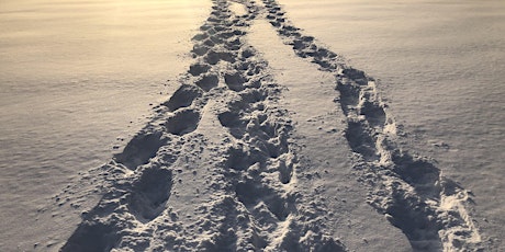 Winter 2021: walk, run + learn to run primary image