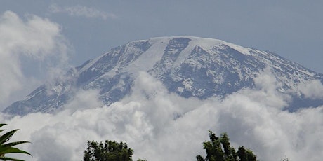 Kilimanjaro expeditions nature discover Machame route climb primary image