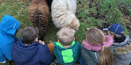 Primaire afbeelding van Stages Nature - Pâques semaine 1