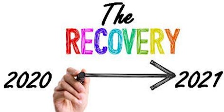 The Recovery primary image