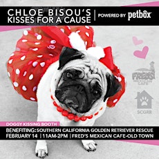 Chloe Bisou's Kisses For A Cause-Powered by PetBox primary image