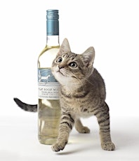2nd Annual SPCA Wine Tasting Fundraiser primary image