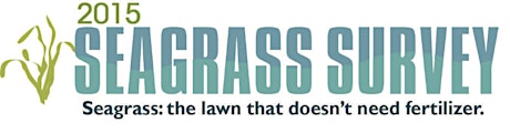 2015 Sarasota County Seagrass Survey primary image