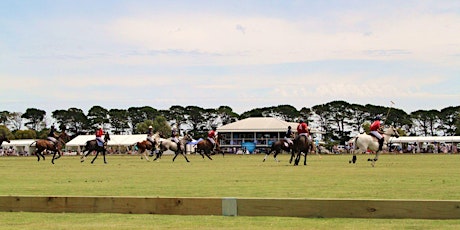 Colliers International Ballarat Polo Cup 2021 primary image