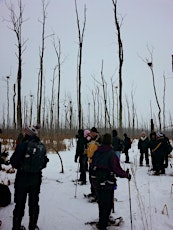 Snowshoe with the Friends of Minesing Wetlands primary image