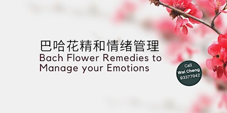 巴哈花精和情绪管理 Bach Flower Remedies to Manage your Emotions primary image