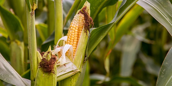 2021 Corn & Soybean Production Meetings
