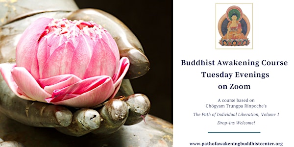 Online Meditation Course via Zoom: The Buddhist Path of Awakening