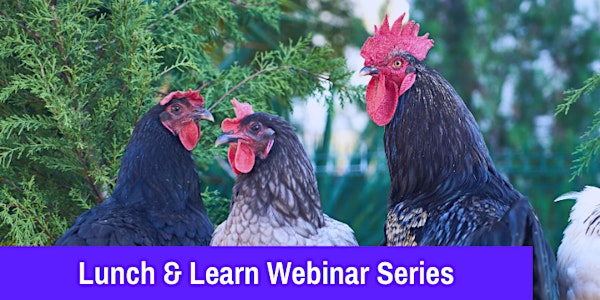 Lunch & Learn Webinar Series- Chickens