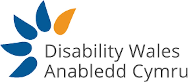 
		Equipping Disabled Graduates with the Tools for Career Success (free) image

