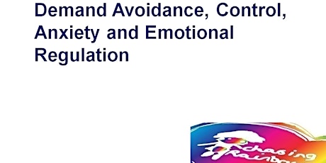 Primaire afbeelding van Demand Avoidance, Control, Anxiety and Emotional Regulation