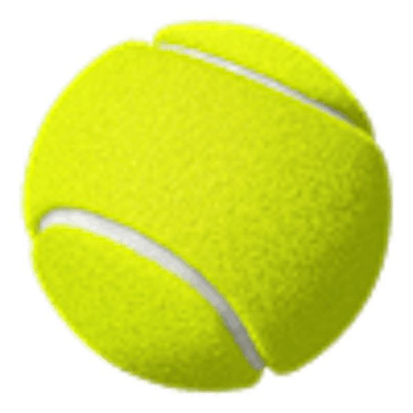 Ladies' Tennis Tournament