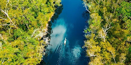 Noosa Everglades Kayak Adventure primary image