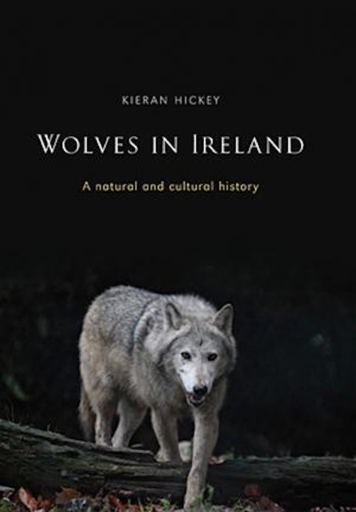 
		Lunchtime Talk Series: WolfWalkers - Wolves in Ireland image
