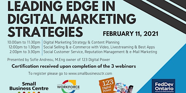 Leading Edge in Digital Marketing Strategies