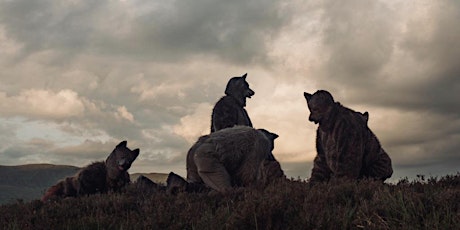 In the Company of Wolves primary image