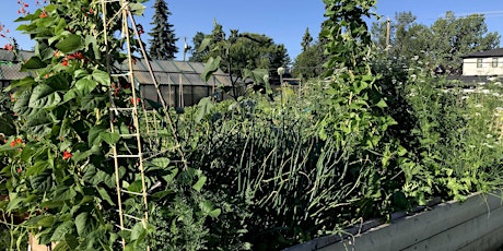 Garden On!- Lets Get Edible Gardening! Part 2