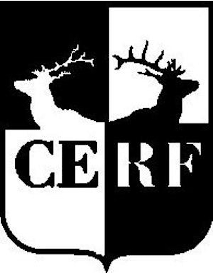 Cambridge – Corporate Finance Theory Symposium 2021 image