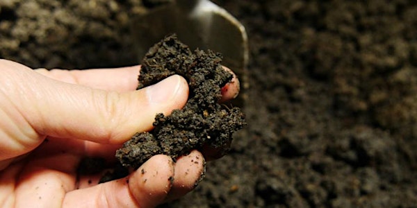 Soil Health: The Natural Approach