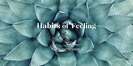 Hauptbild für Habits of Feeling & Being