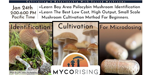 Let's  Get Growing: Mushroom Cultivation 101