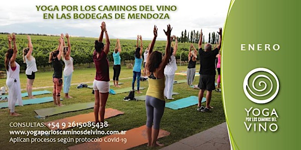 Yoga por los Caminos del Vino + brunch en TERRAZAS DE LOS ANDES