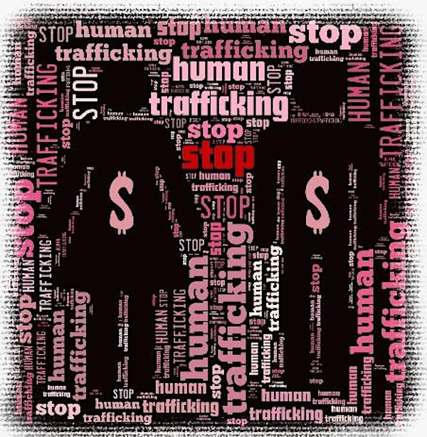 Domestic Human/Sex Trafficking Investigations