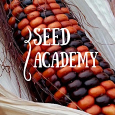 Seed Academy 2015 primary image