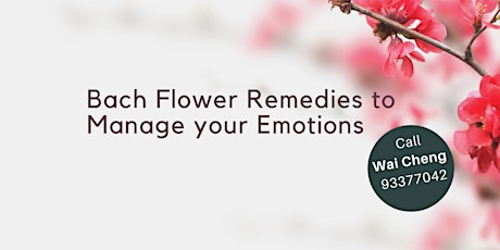 Bach Flower Remedies to Manage your Emotions primary image
