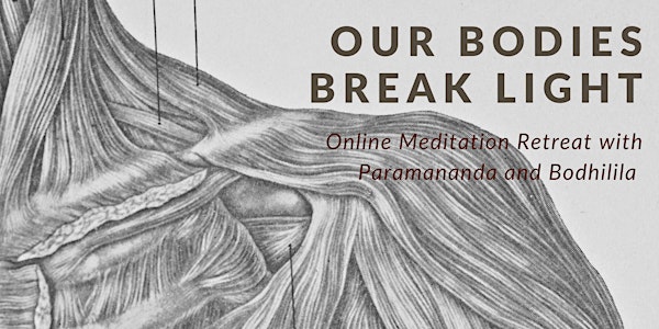 Our Bodies Break Light: An Online Meditation Retreat