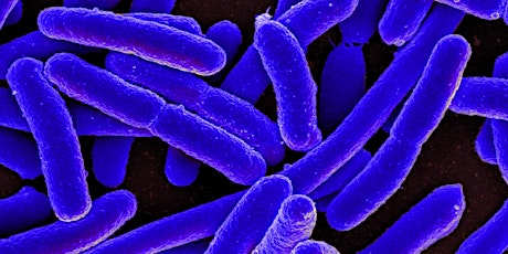 Detection of foodborne pathogenic bacteria using microfluidic devices