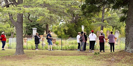 Rookwood General Cemetery - History Tour - February primary image