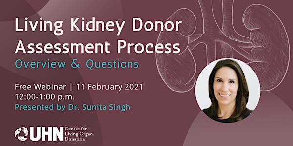 Living Kidney Donor Assessment Process