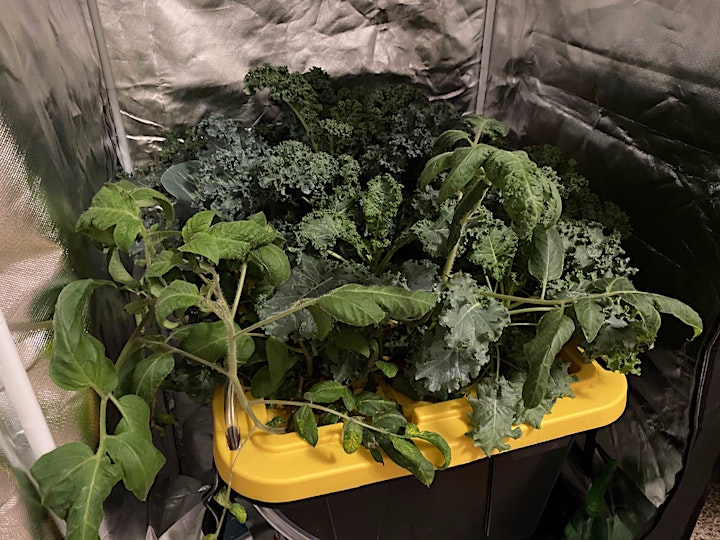 
		Introduction to Hydroponics and Aeroponics image
