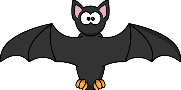 Bat Walk of Stoke Park