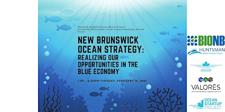 New Brunswick Ocean Strategy: Our Opportunities in the Blue Economy
