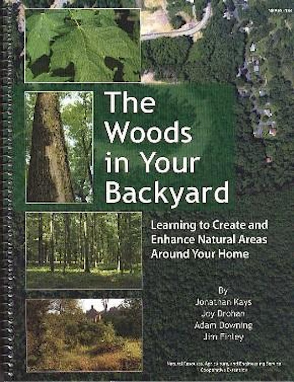 Backyard Woodland Workshop