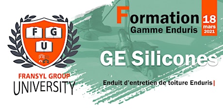 Formation Fransyl - Enduris GE Silicones primary image