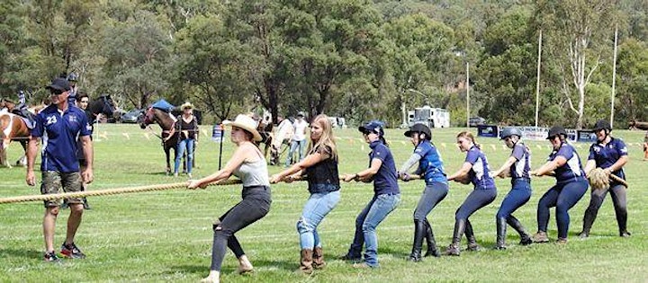 Mighty Mitta Muster image
