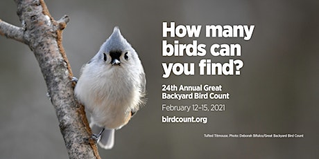 Great Backyard Bird Count (Outdoor Experience) primary image