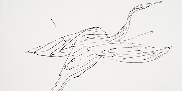 Virtual Workshop: Learn How to Draw a Bird