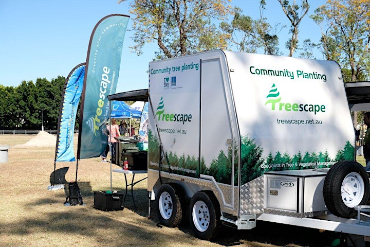 
		Manly West - Community Tree Planting image
