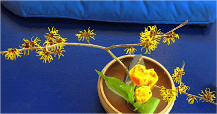 Ikebana- Japanese Floral Art Demonstration and Sake Tasting/Talk... primary image