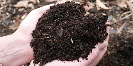 Copy of Composting at Home (Nowra) primary image