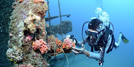 Sri Lanka's Underwater Gallery