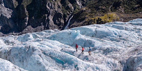 Know your Brand - Fox Glacier primary image