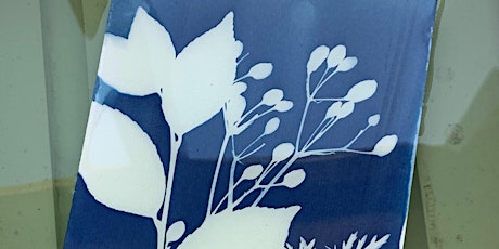 SUNDAY WELLBEING WORKSHOP: Lanyon’s Gardens + Sunlight = Cyanotype primary image